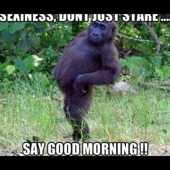 Meet your Posher, Jeffrey - Picture 1 of 1